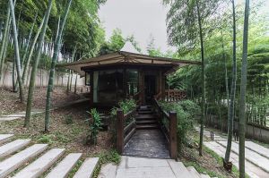 長(zhǎng)頸鹿莊園